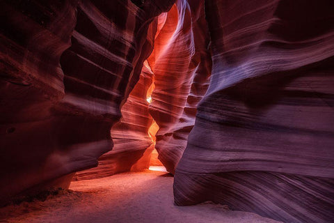 Antelope Black Ornate Wood Framed Art Print with Double Matting by Alvarez Osorio, Cesar