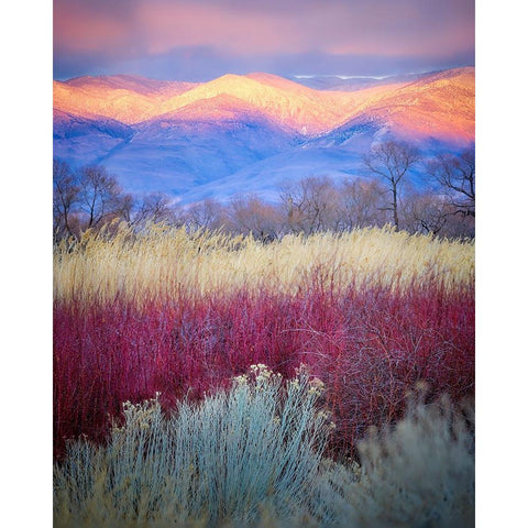 Field Layers Gold Ornate Wood Framed Art Print with Double Matting by Kirbyturnage