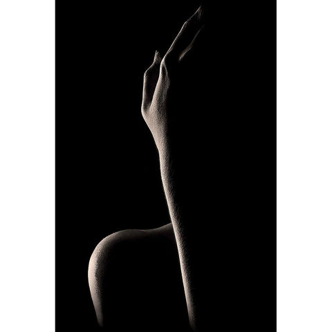 Bodyscape: You CanT See My Face Black Modern Wood Framed Art Print with Double Matting by Sungkono, Heru