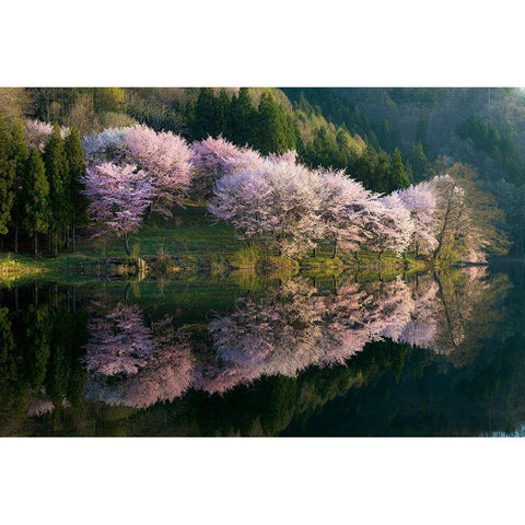 Sakura Black Modern Wood Framed Art Print with Double Matting by Ito, Tatsuki