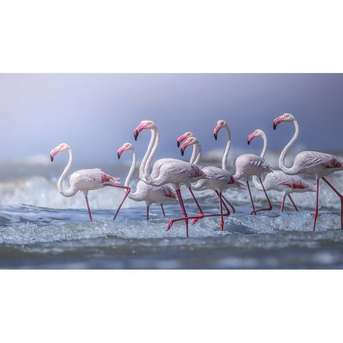 Beach Marathon White Modern Wood Framed Art Print by Wedpathak, Rahul