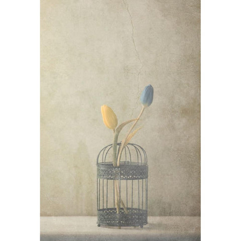 But Together... Black Modern Wood Framed Art Print with Double Matting by Devos, Delphine