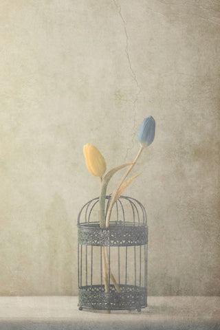 But Together... Black Ornate Wood Framed Art Print with Double Matting by Devos, Delphine