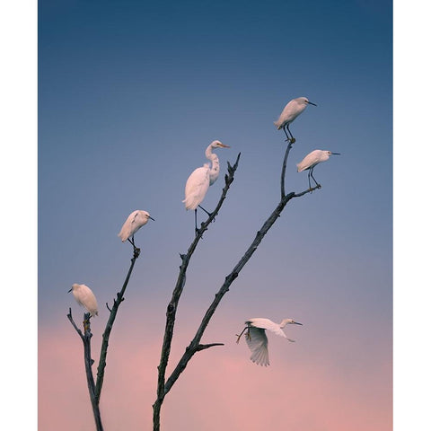 Social Distancing Black Modern Wood Framed Art Print by P., Ruiqing