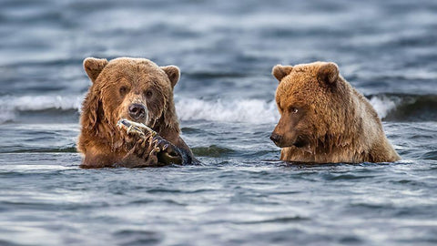 The Look Black Ornate Wood Framed Art Print with Double Matting by And Wei, Siyu