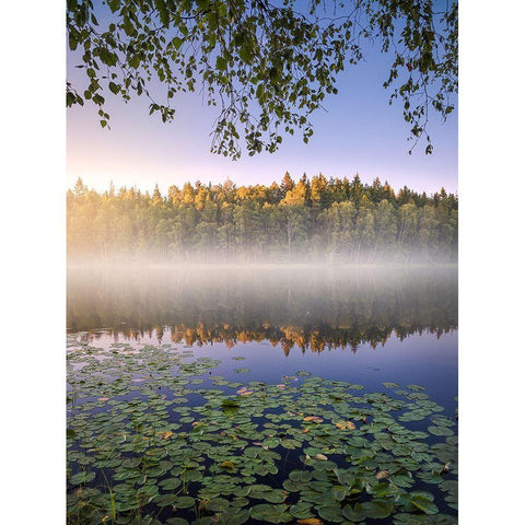 Calm Summer Night Black Modern Wood Framed Art Print with Double Matting by Lindsten, Christian