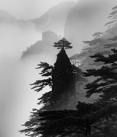 Standing Alone Black Ornate Wood Framed Art Print with Double Matting by Dai, Wei
