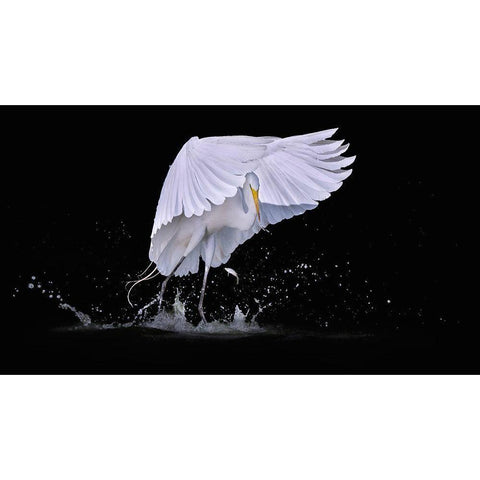 I See You White Modern Wood Framed Art Print by Zhao, Qing