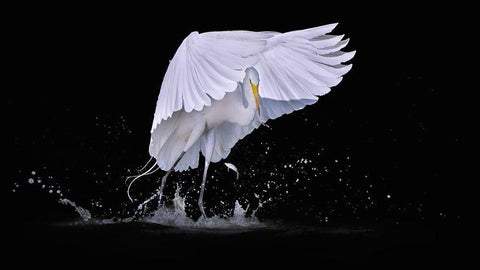 I See You White Modern Wood Framed Art Print with Double Matting by Zhao, Qing