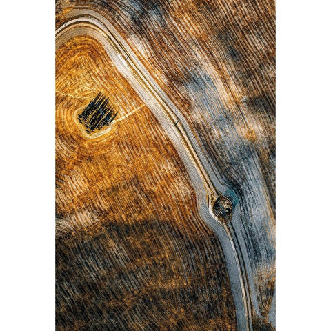 Series Tuscany - Lines And Curves Black Modern Wood Framed Art Print by Chiriaco, Carmine
