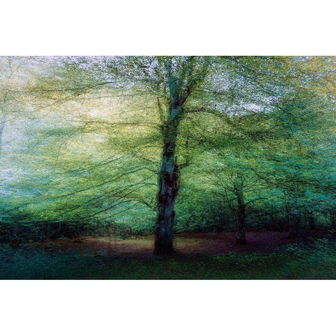 Forest White Modern Wood Framed Art Print by Antonio Cobo, Marco