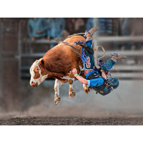 Bull Riding Gold Ornate Wood Framed Art Print with Double Matting by Ma, Frank