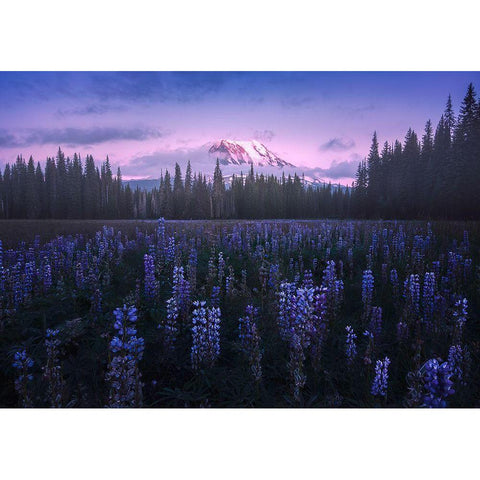 Adams Lupine Gold Ornate Wood Framed Art Print with Double Matting by Bandyopadhyay, Atanu