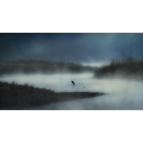 In The River Fog Black Modern Wood Framed Art Print with Double Matting by Yamashita, Takafumi