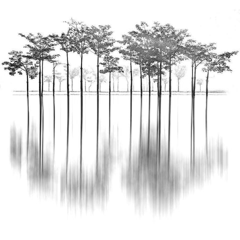 Reflections White Modern Wood Framed Art Print by Ur Rahman, Sami