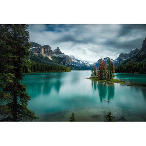 Spirit Island Black Modern Wood Framed Art Print by Zhao, Alex