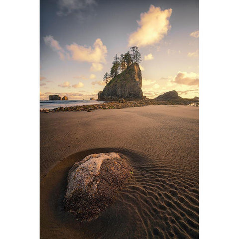 Water Trails Gold Ornate Wood Framed Art Print with Double Matting by Gamito, Clara