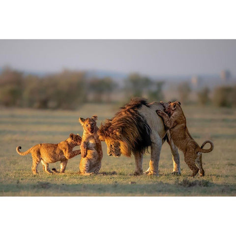 Dad And Kids Black Modern Wood Framed Art Print with Double Matting by Li, Min