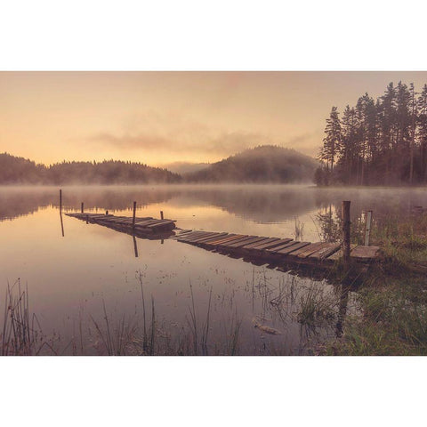 In The Morning Black Modern Wood Framed Art Print by Peeva, Zlatina