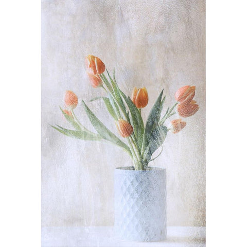 A Bunch Of Tulips Black Modern Wood Framed Art Print with Double Matting by Devos, Delphine