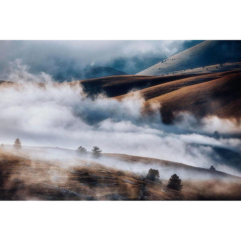 Deep Breath Gold Ornate Wood Framed Art Print with Double Matting by Riccardo Iacomino, Francesco