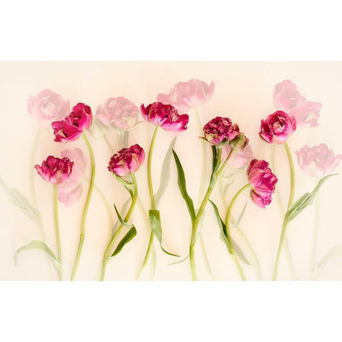 Tulips Gold Ornate Wood Framed Art Print with Double Matting by Van Deelen, Ellen