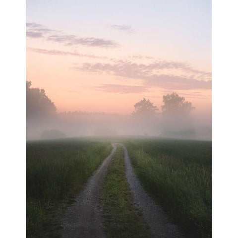 Foggy Road Black Modern Wood Framed Art Print with Double Matting by Lindsten, Christian