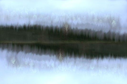 Image Only