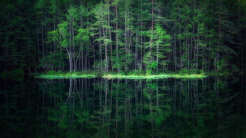 Green World White Modern Wood Framed Art Print with Double Matting by Mitamura, Takeshi