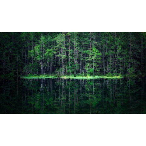 Green World Gold Ornate Wood Framed Art Print with Double Matting by Mitamura, Takeshi