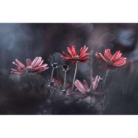 Les Fleurs Du Bien Black Modern Wood Framed Art Print by Bravin, Fabien