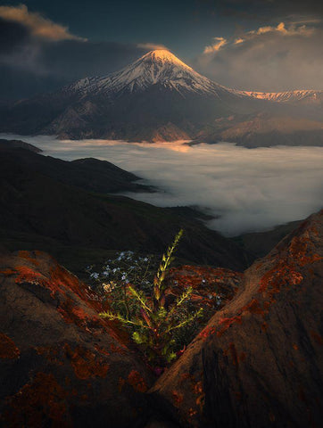 Mount Damavand In Spring Black Ornate Wood Framed Art Print with Double Matting by Behzad, Majid