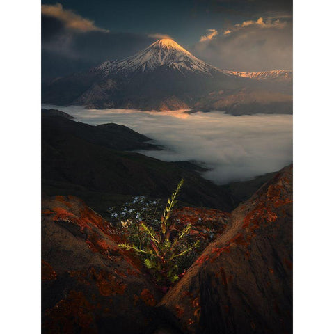 Mount Damavand In Spring Black Modern Wood Framed Art Print by Behzad, Majid