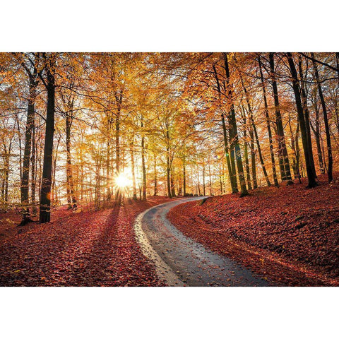 Road In Sapderaysen Nationalpark-Sweden Black Modern Wood Framed Art Print with Double Matting by Lindsten, Christian