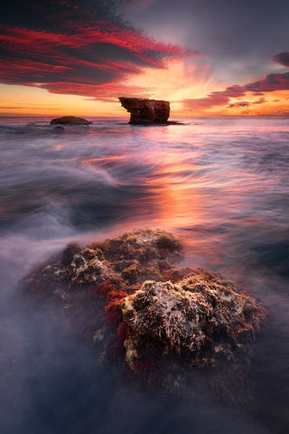 The Good Wave Black Ornate Wood Framed Art Print with Double Matting by Camacho, Anto