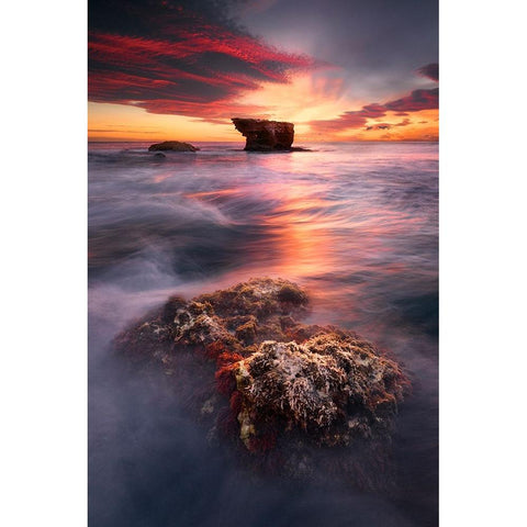 The Good Wave Black Modern Wood Framed Art Print with Double Matting by Camacho, Anto