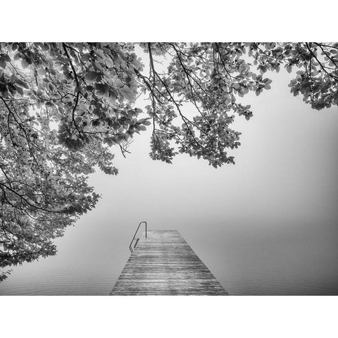 The Sound Of Silence Black Modern Wood Framed Art Print with Double Matting by Lisa Roeder, Margit