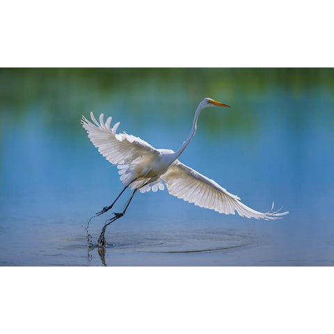 Untitled White Modern Wood Framed Art Print by Cloud, Mountain