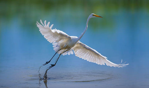 Untitled Black Ornate Wood Framed Art Print with Double Matting by Cloud, Mountain