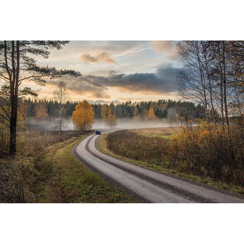 Drive In Autumn Colors Gold Ornate Wood Framed Art Print with Double Matting by Lindsten, Christian