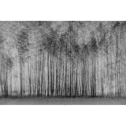 Impenetrable Forest Gold Ornate Wood Framed Art Print with Double Matting by Schleicher-Schwarz, Roswitha