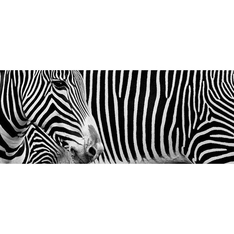 Untitled Black Modern Wood Framed Art Print with Double Matting by Pandya, Hardik