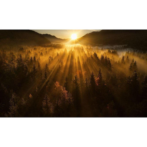 Aerial Shot Of An Autumn Forest Black Modern Wood Framed Art Print with Double Matting by Krivec, Ales