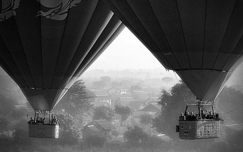 In The Air Black Ornate Wood Framed Art Print with Double Matting by Grant, Lynn