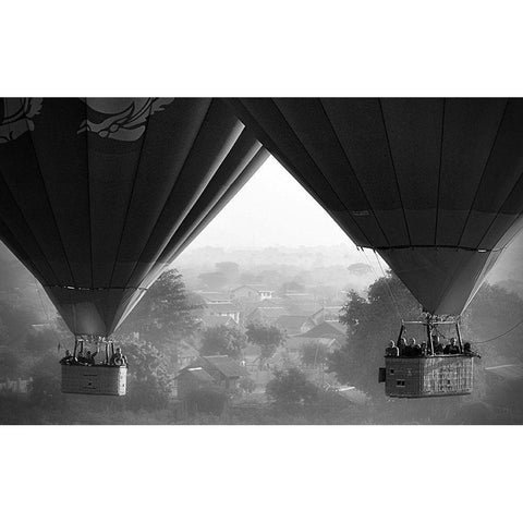 In The Air Black Modern Wood Framed Art Print by Grant, Lynn