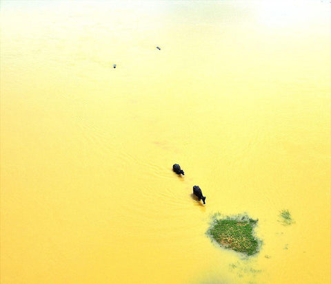 Food Bank Black Ornate Wood Framed Art Print with Double Matting by Mukherjee, Saikat