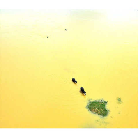 Food Bank Gold Ornate Wood Framed Art Print with Double Matting by Mukherjee, Saikat