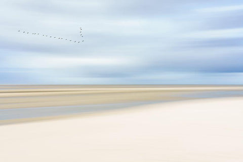 At The Ocean Iii White Modern Wood Framed Art Print with Double Matting by Reichelt, Dieter