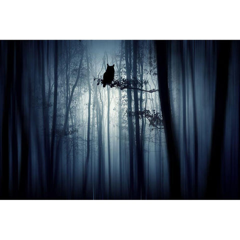 In The Forest Black Modern Wood Framed Art Print by Erika, Eros