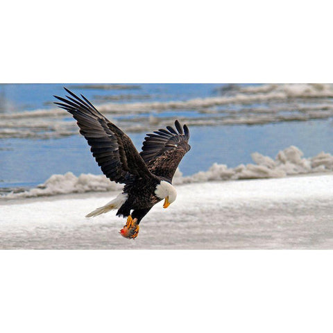 The Prize Gold Ornate Wood Framed Art Print with Double Matting by Hallkc